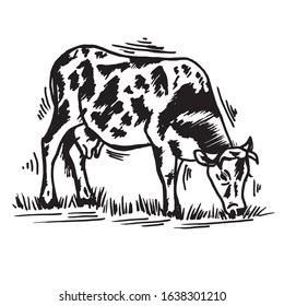 Doodle pet on a farm cow black outline on white