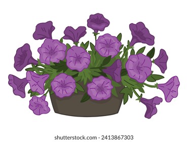 Doodle of petunias in a pot. Spring time flower clipart. Cartoon vector illustration isolated on white background.