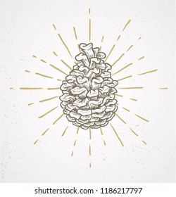 doodle pine cone and sunburst