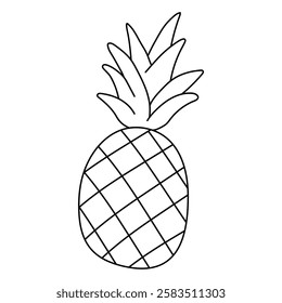 Doodle pineapple isolated on white background vector. Pineapple summer fruit coloring Page. Cartoon pineapple coloring page for kindergarten and preschool worksheets for kids printable.