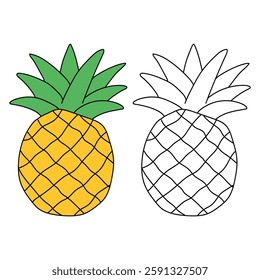 Doodle pineapple summer fruit isolated on white background vector. Pineapple summer fruit coloring page for kids. Trace and color pineapple.