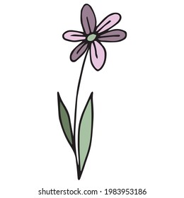 Doodle pink flower hand-drawn, green leaves. Black outline. White background. Vector image. Floral design for greeting cards, for accessories. Baby style and cartoon style element.
