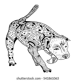 Doodle pit-bull graphic with ornate pattern. Design Isolated on white.