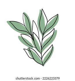 Doodle plant with colored spot