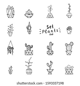 Doodle plant in faceted pot set. Hand-drawn leaves, succulents and cactus with poly flower pot. Outline home plants isolated on a white background. Cute illustration polygonal element for the interior