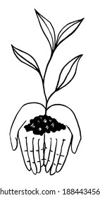 Doodle of plant in human hands. Problem of organic production. Hand drawn vector illustration. Ecology theme drawing isolated on white. Black contour element for design, print, poster, banner, plaсard