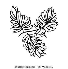 Doodle plant with leaf. Hand drawn outline brunch. Nature floral vector illustration, design decor element for post card, invitation, banner