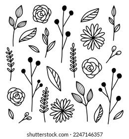 Doodle plants collection. Line art. Hand drawn flowers, branches and leaves. Simple drawing. Coloring page. Black and white vector illustration.