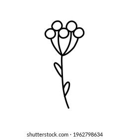 doodle with plants, flowers, grass, berries. Linear vector illustration. hand-drawn symbols and style objects . simple, black drawing for sticker, decor, postcard, badge, coloring book, logo