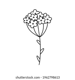 doodle with plants, flowers, grass, a bunch of inflorescences. Linear vector illustration. hand-drawn symbols and style objects . simple, black drawing for sticker, decor, postcard,  coloring book