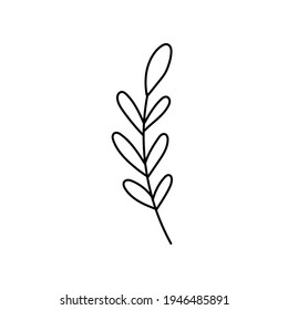 doodle with plants, foliage, grass, branch. Linear vector illustration. hand drawn style symbols and objects . simple, black drawing for sticker, decor, postcard, icon, coloring page, logo