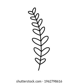 doodle with plants, foliage, leaf, grass, branch. Linear vector illustration. hand-drawn symbols and style objects . simple, black drawing for sticker, decor, postcard, badge, coloring book, logo