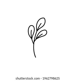 doodle with plants, foliage, leaf, grass, branch. Linear vector illustration. hand-drawn symbols and style objects . simple, black drawing for sticker, decor, postcard, badge, coloring book, logo