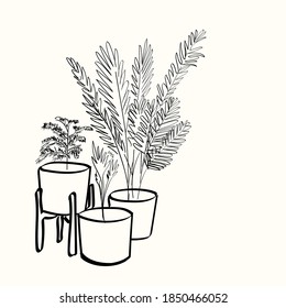 Doodle plants on white background. circuit. indoor plants in pots. sketch. vector eps 10. postcard, design of social networks. plant care, room.