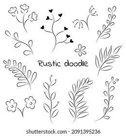 Doodle plants in rustic style printing on textiles decoration packaging botanical collection of floral and herbal elements branches and flowers hand drawn cards invitations logos Vector illustration