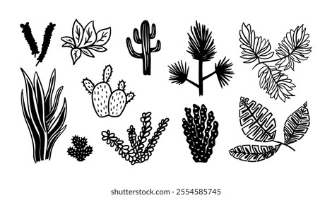 Doodle plants, tropical leaves, cactus set. Hand drawn vector cacti, monstera, palm, pineapple illustration. Sketch plant silhouette. Simple brush nature succulent