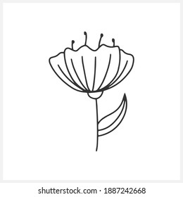 Doodle poppy with leaf isolated on white. Outline kids hand drawing flower, line art vector stock illustration. EPS 10