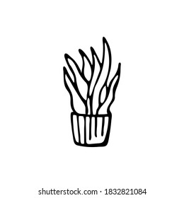 Doodle pot. Indoor plant isolated on white background. Hand-drawn picture. Vector