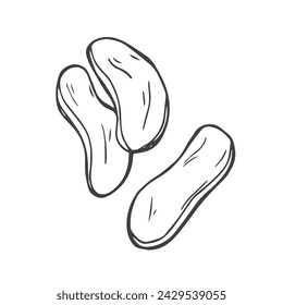 Doodle potato cut in half and slices outline icon vector illustration. Potato chips