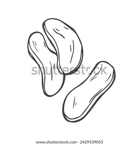 Doodle potato cut in half and slices outline icon vector illustration. Potato chips