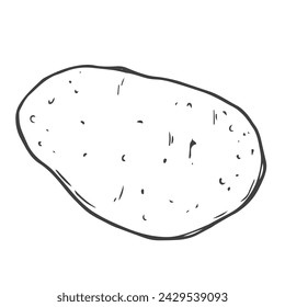 Doodle potato icon in vector. Line potato sketch icon