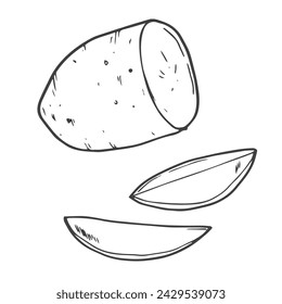 Doodle potato slices in vector sketch