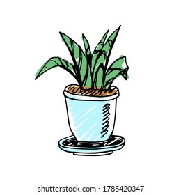 Doodle Potted house plant in color isolated on white background. Template for postcard, banner, poster, web design. Hand Drawn vector illustration.