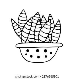 Doodle potted houseplant. Vector illustration