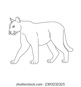 Doodle de Puma. Ilustración vectorial dibujada a mano.