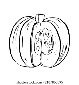 Doodle Pumpkin cut sketch. Vector illustration of vegetable outline. Simple monochrome image. Hand drawn ink illustration
