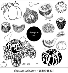 Calabazas decorativas de diversas formas