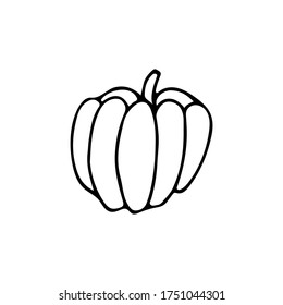 Doodle pumpkin icon in vector. Hand drawn pumpkin icon in vector
