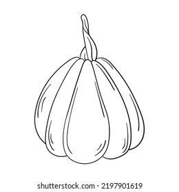 Doodle pumpkin isolated on a white background. Hand drawn, simple outline illustration. It can be used for decoration of textile, paper.