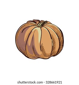 Doodle pumpkin. Isolated in white background. Excellent vector illustration, EPS 10