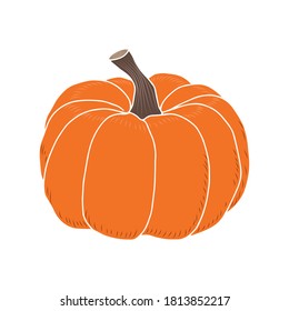 Dibujo de una calabaza sobre un fondo blanco. Elemento aislado vectorial para el diseño. Verduras otoñales.