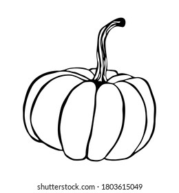 Doodle pumpkin. single element isolated on a white background