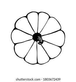 Doodle pumpkin. single element isolated on a white background