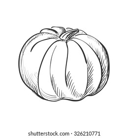 Doodle pumpkin. Vector Illustration. Isolated in white background. 