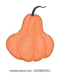 Doodle von Kürbisgemüse. Vektorgrafik im Cartoon-Stil. Herbstsaison Ernte Clipkunst einzeln auf weißem Hintergrund.