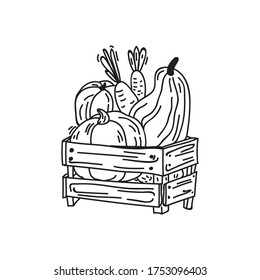 Doodle-Kürbis, gesammelt in Holzkiste