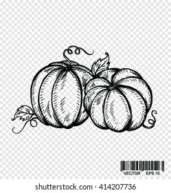 Doodle pumpkins. Hand drawn ink illustration