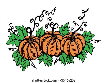 Doodle pumpkins. Hand drawn ink illustration