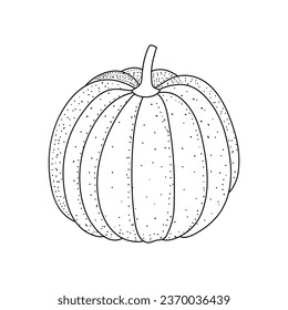 Doodle pumpkins icon.  Tomato hand drawn picture in cartoon style isotated on white background