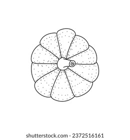 Doodle Kürbisse Symbol.  handgezeichnetes Tomatenbild im Cartoon-Stil einzeln auf weißem Hintergrund