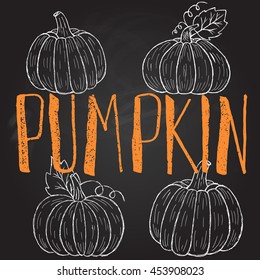 Doodle pumpkins.Vector paint hand drawn picture of pumpkin in cartoon style.Stock illustration