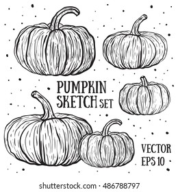 Doodle pumpkins.Vector paint hand drawn picture in cartoon style. Stock illustration. 