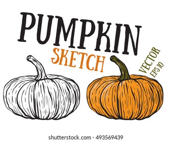 Doodle pumpkins.Vector paint hand drawn picture of pumpkin in cartoon style.