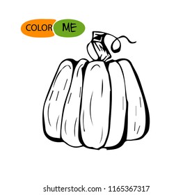 Doodle pumpkin.Vector paint hand drawn picture in cartoon style. Stock illustration. Colored for children