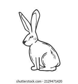 Doodle rabbit sketch. ine art hare animal. Forest concept. Isolated