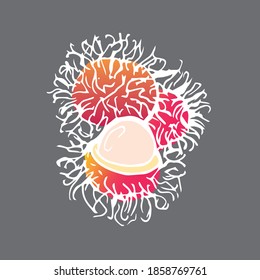 doodle rambutan fruit, rambutan fruit, ngo, Thailand fruits, rambutan pink logo